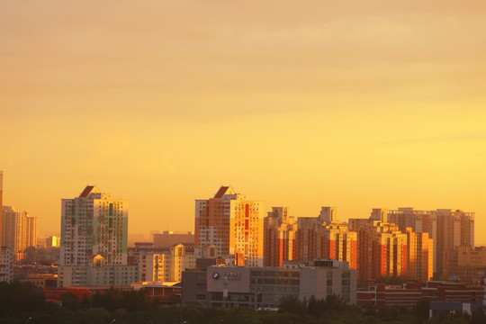 沐浴在夕阳中的高楼