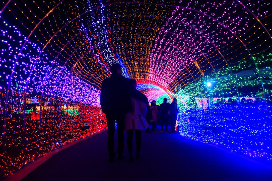 灯展时光隧道