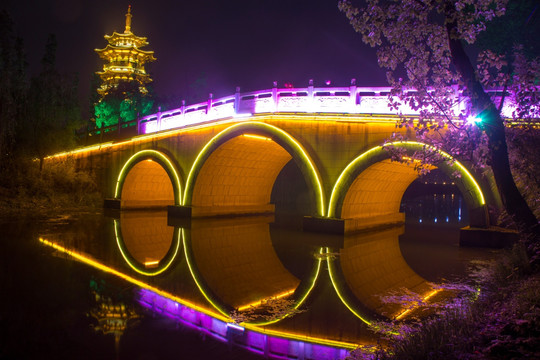 洋湖湿地公园夜景