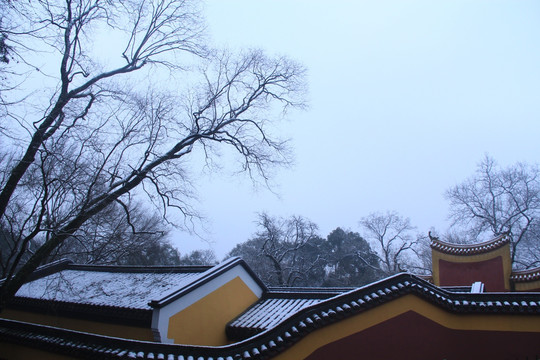 岳麓书院雪景
