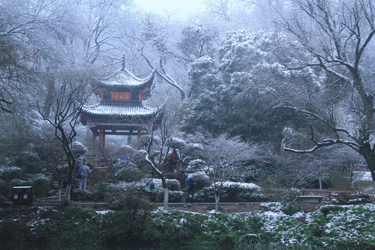 岳麓山爱晚亭雪景