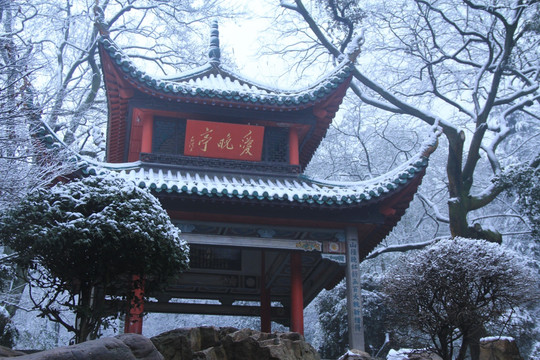 岳麓山爱晚亭雪景