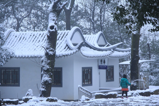 岳麓山雪景