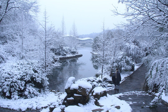 岳麓山穿石坡湖雪景