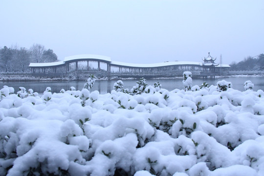 岳麓山穿石坡湖雪景