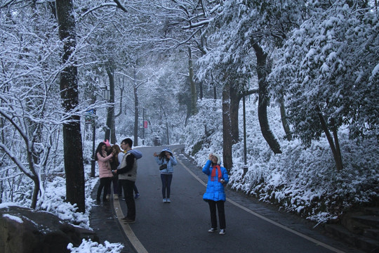 岳麓山雪景