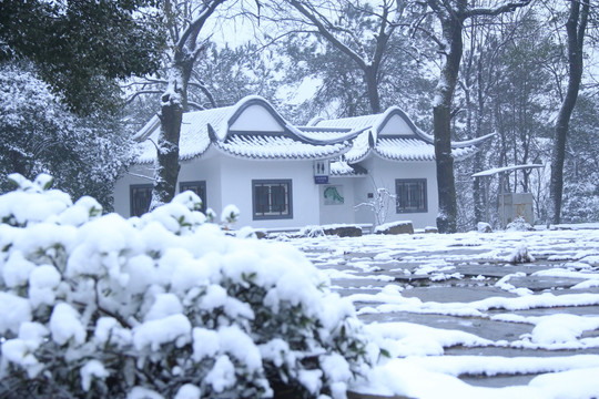 岳麓山雪景