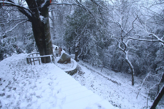 岳麓山雪景