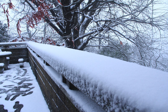 岳麓山雪景