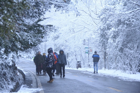 岳麓山冬天雪景