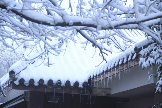 岳麓山冬天雪景