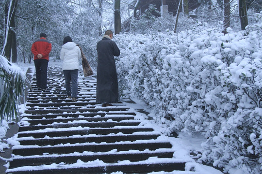 岳麓山冬天雪景