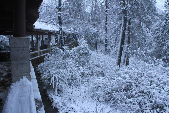 岳麓山冬天雪景