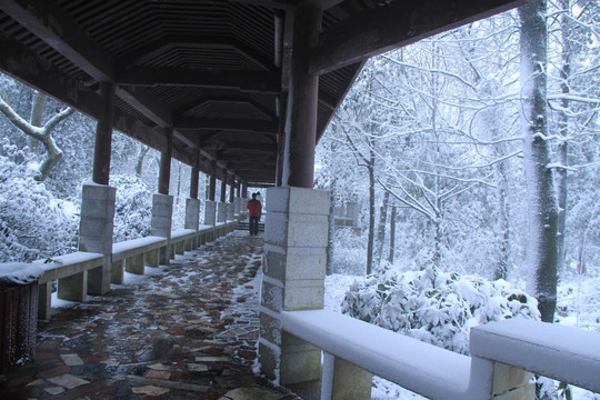 岳麓山冬天雪景