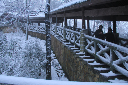 岳麓山冬天雪景