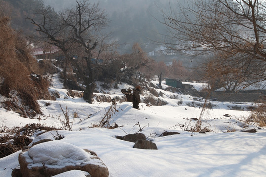 东北农村山区雪景