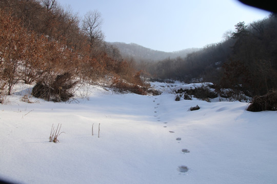 东北农村山区雪景