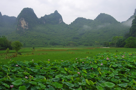 乡村风景