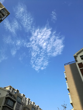 上帝的爱心
