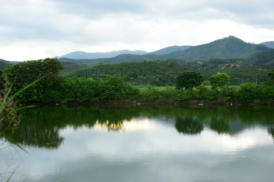 乡间地头