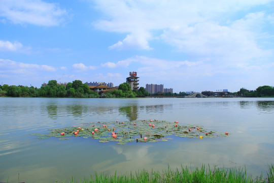 长沙月湖公园