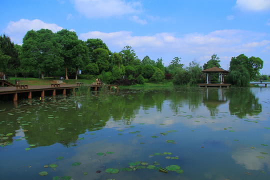 长沙月湖公园