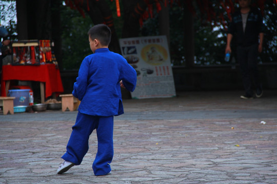 少年习武练太极