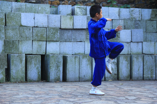 少年习武练太极