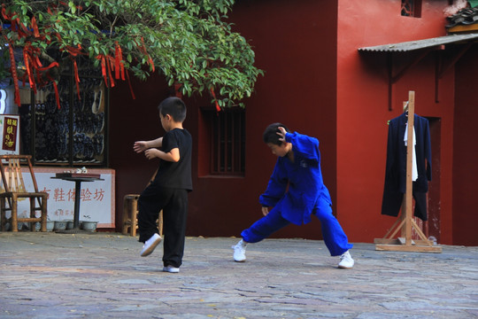 少年习武练太极