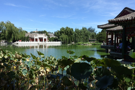 北京大观园 景观