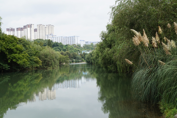 湿地公园 初秋风光