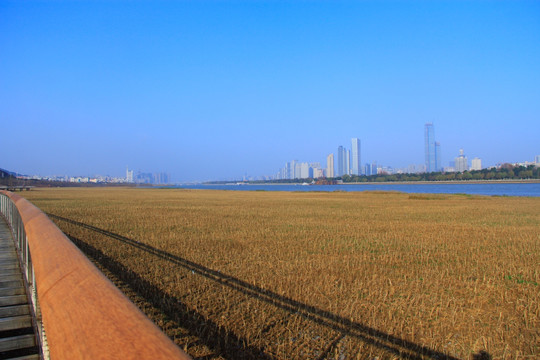 长沙河西湘江风光带