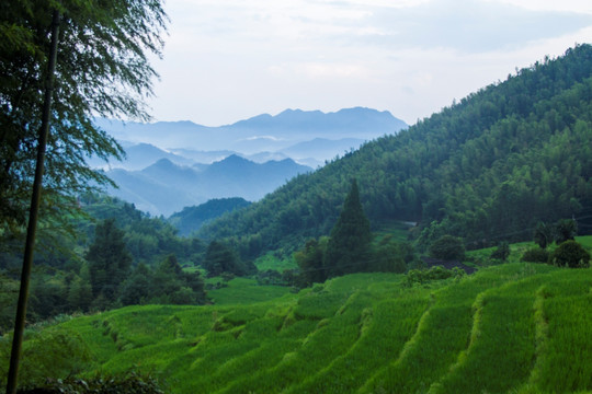 七星岭湖洋梯田风景区