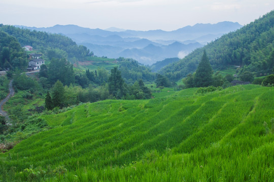 七星岭湖洋梯田风景区