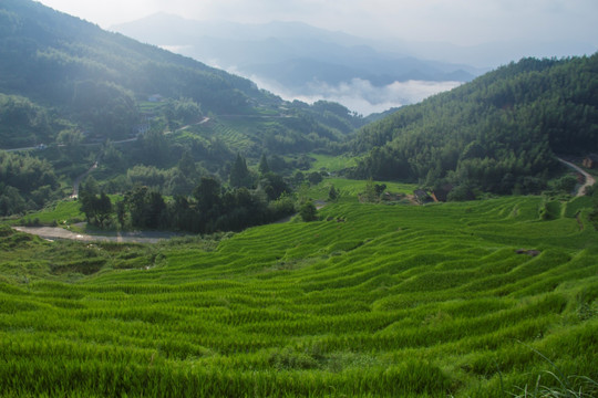 七星岭湖洋梯田风景区