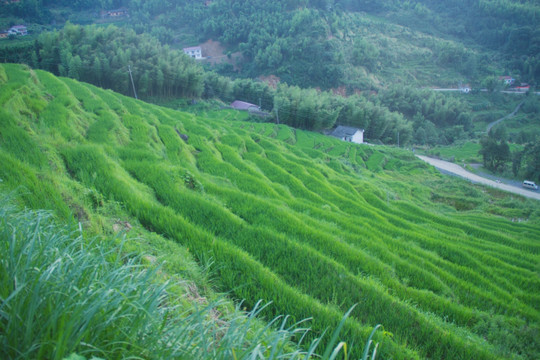 七星岭湖洋梯田风景区