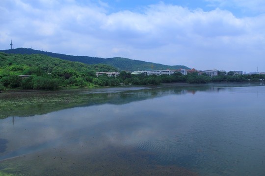桃子湖