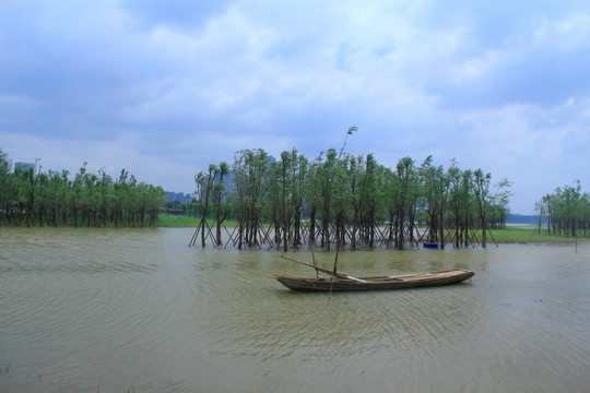 长沙河西湘江风光带