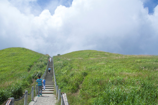 武功山高山草甸云中草原