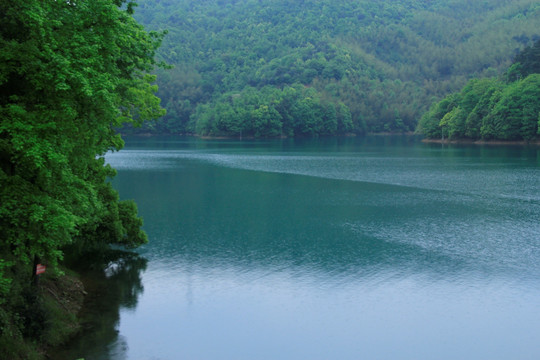 凤凰山森林公园香山冲水库