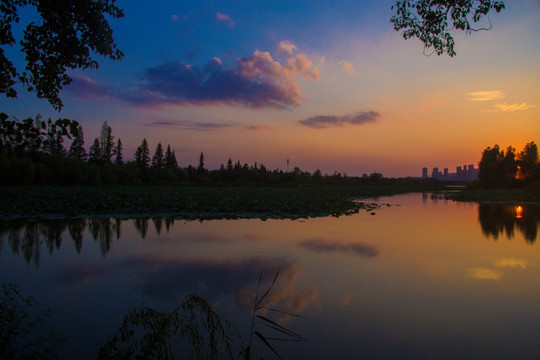 洋湖湿地公园夕阳晚霞