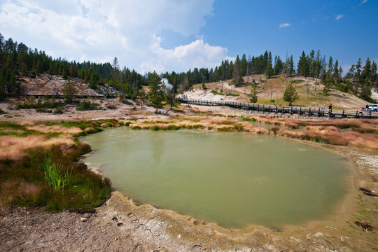 黄石国家公园 泥间歇泉