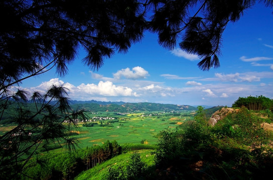 乡村风景 绿色乡村