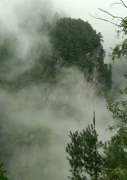 山中迷雾
