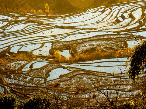 梯田油画