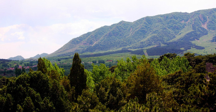 远山 龙脉 山脉