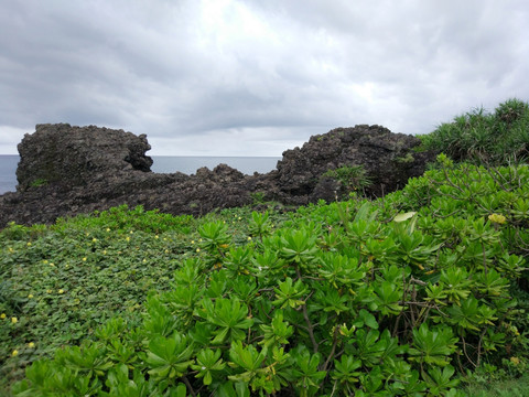 台湾海岸风景