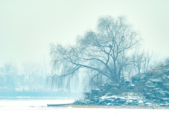 园林雪景