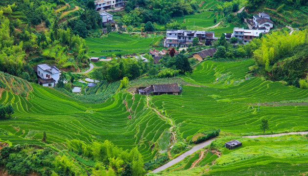 梯田
