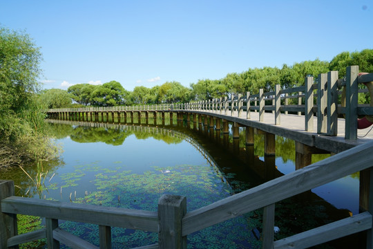 沈阳鸟岛 湖 桥